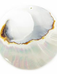 83306