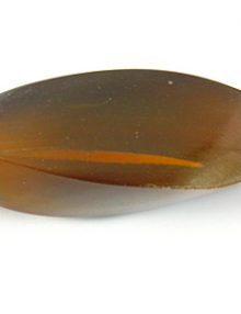 83629