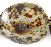 83954