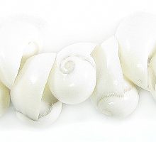 83962