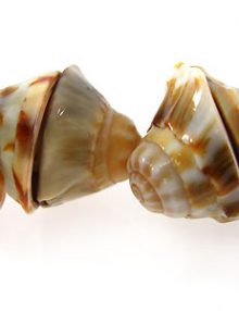 84030