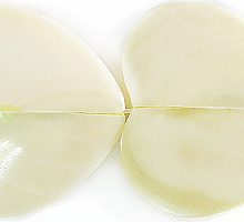 84059