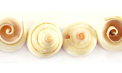 84063