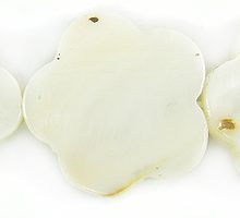 84065