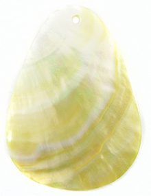 84751