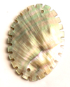85025