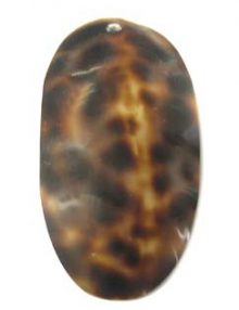 85049