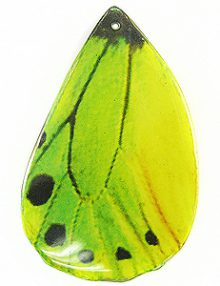 85447