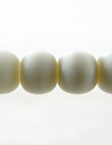 CHBON1303