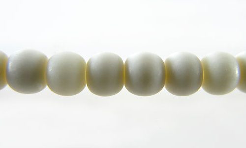CHBON1303