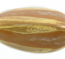 CN003W