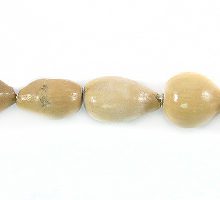 CN006N-1