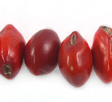 CN007FD