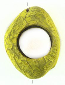 CNP038Y