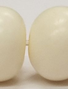 LSBON1310