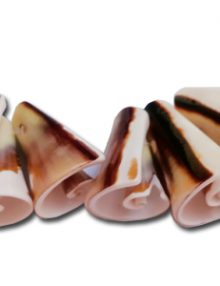 SH040