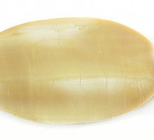 SH081ML