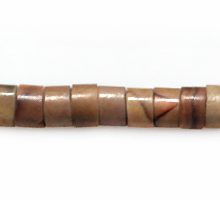 SH1704