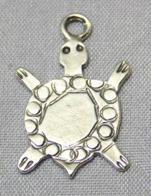 SSP0024Turtle