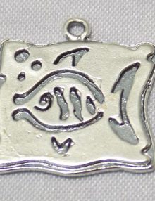 SSP0027FishSq
