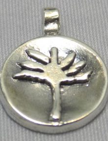 SSP0032Palm