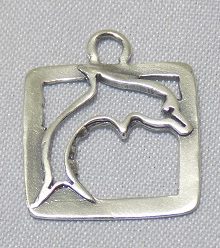 SSP0078DolphinFrame