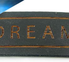 WDC01M-DREAM